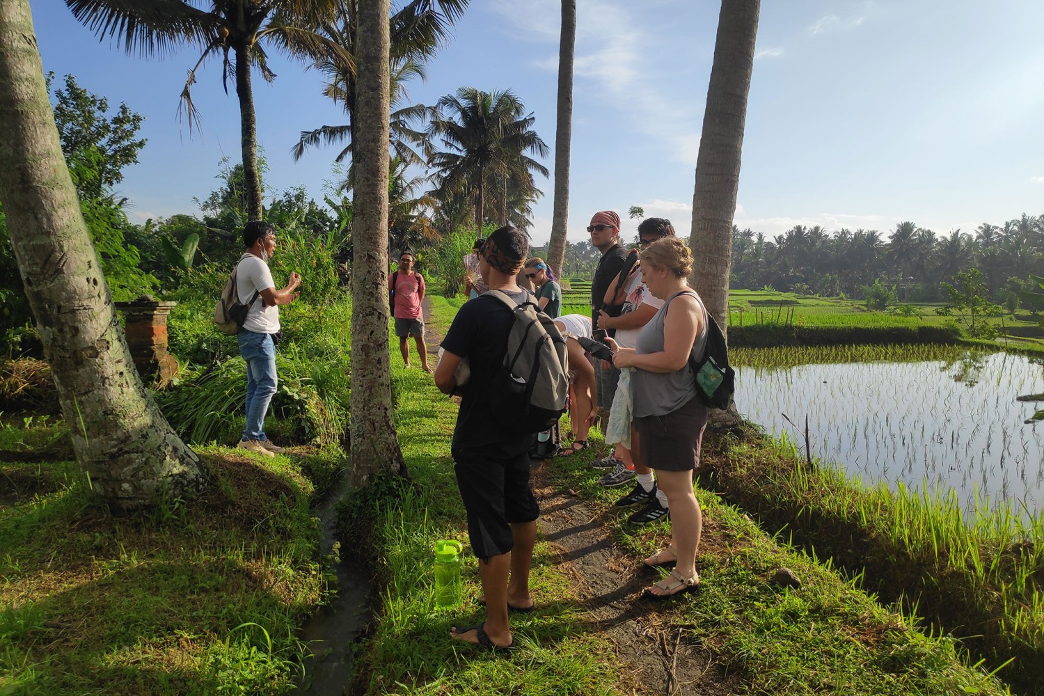 Bali Herbal Walks