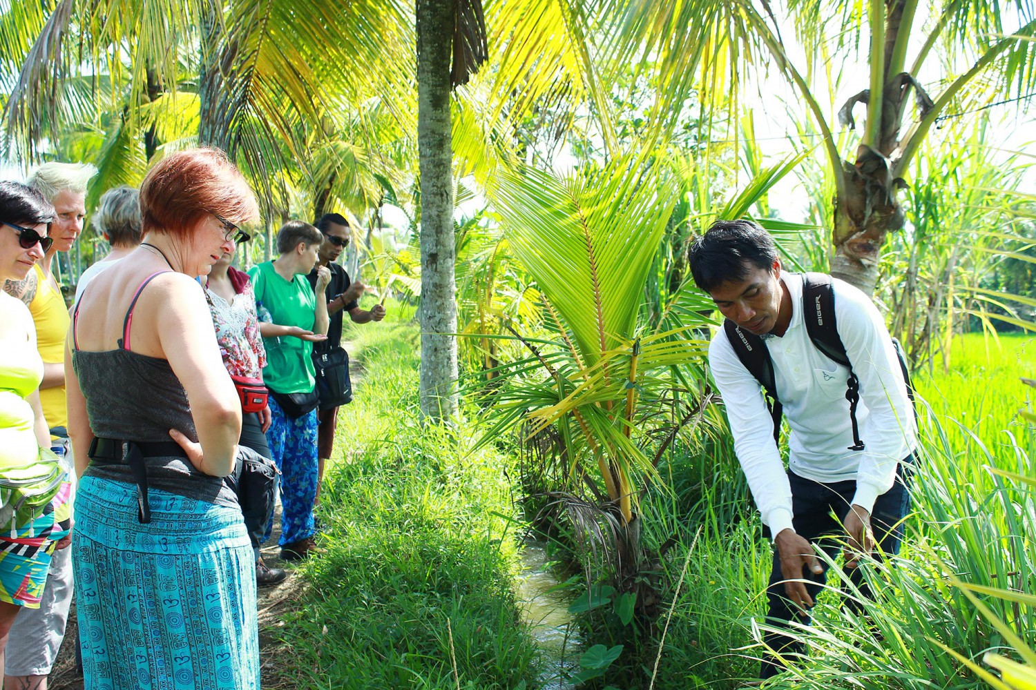 Bali Herbal Walks