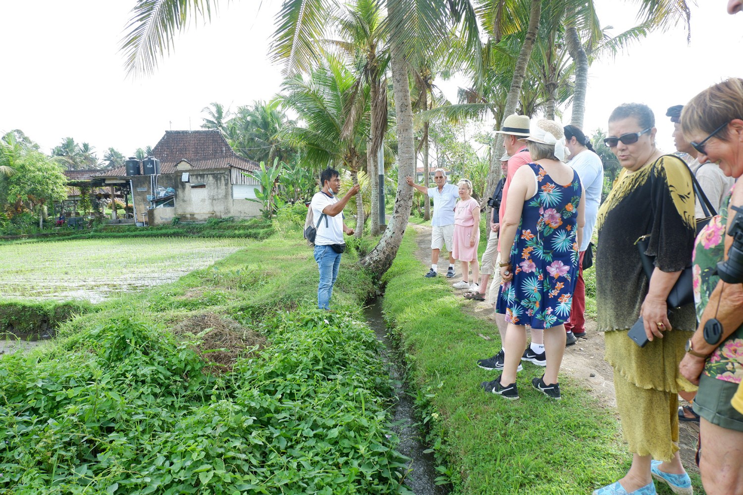 Bali Herbal Walks