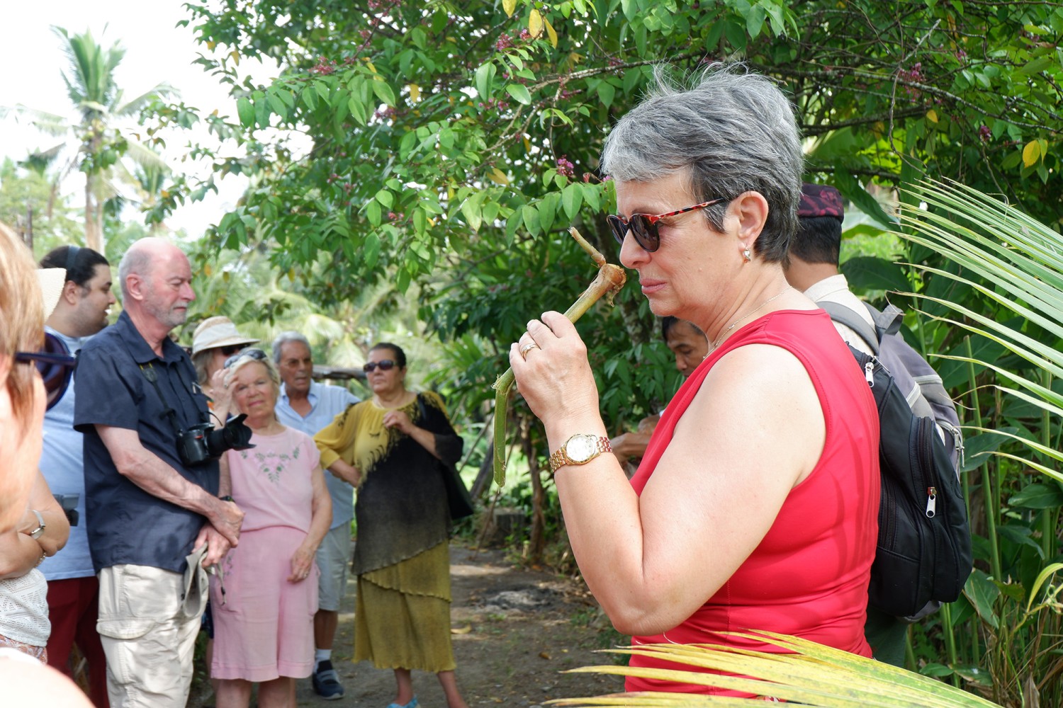 Bali Herbal Walks