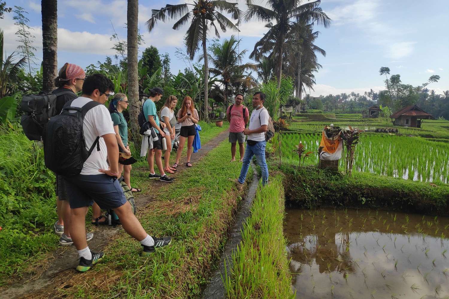 Bali Herbal Walks